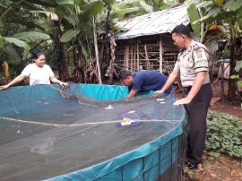 Budidaya Lele Organik Sistem Biotech Desa Ngunut