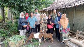 Penyerahan Bantuan Kambing untuk ODDP Kalurahan Ngunut